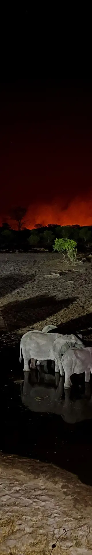 Nächtlicher Aufruhr